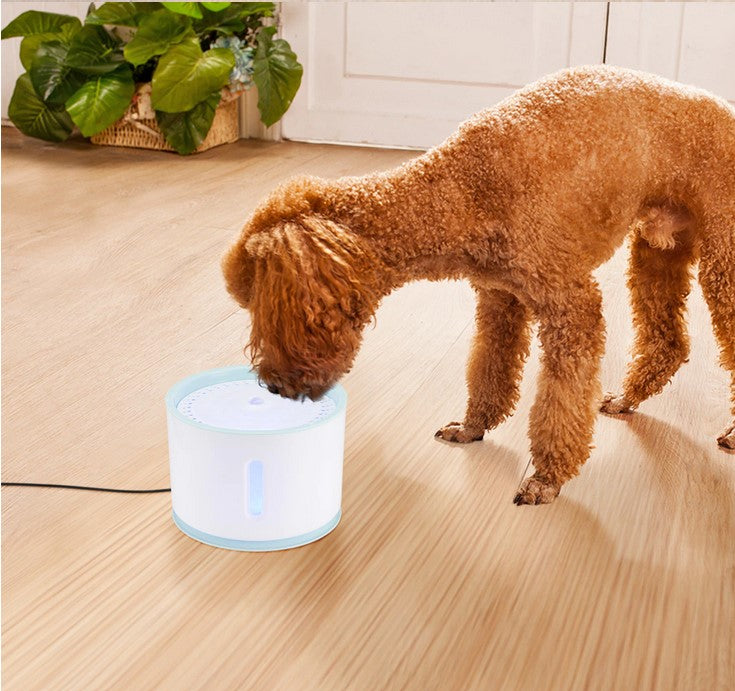 2.4L Cat Dog Water Fountain LED Electric Mute USB Pet Drinker Feeder