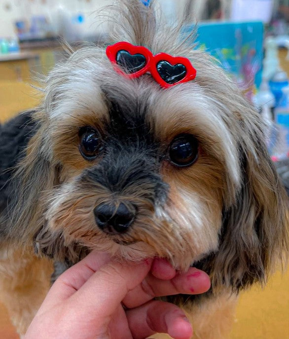 Lovely Heart Sunglasses Hairpins Dog Cat Bows Hair Clip Pet Hair Decor