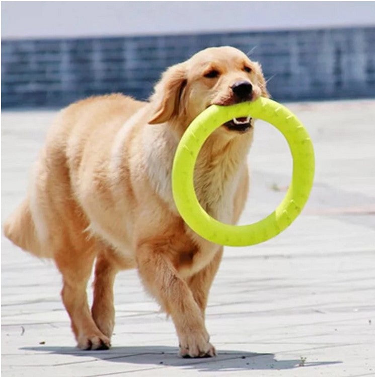 Pet Dog Flying Disc Training Ring Puller Playing Products Supply Toy