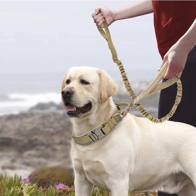 Durable Tactical Collar Leash Adjustable Nylon Train Medium Large Dog