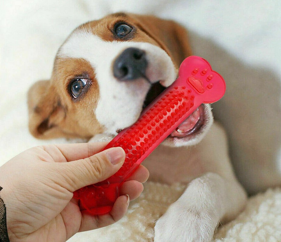 Chew Toys Rubber Bone Dog Pet  Toothbrush Puppy Dental Care Accessory