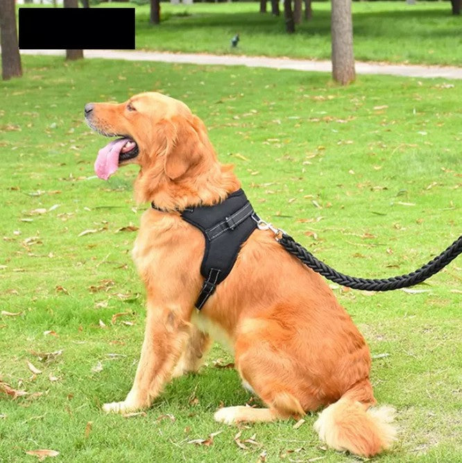 Breathable Adjustable Harness for Small Medium Large Dogs Pet Supplies
