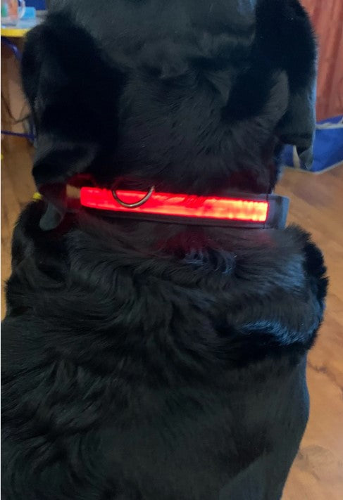 Nylon Dog Cat Collar Flash Night Safety LED Glow Luminous Fluorescen