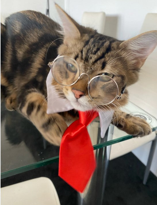 Pet Dog Cat Formal Necktie Tuxedo Bow Black & Red Collar Pet Accessory