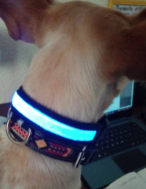 Nylon Dog Cat Collar Flash Night Safety LED Glow Luminous Fluorescen