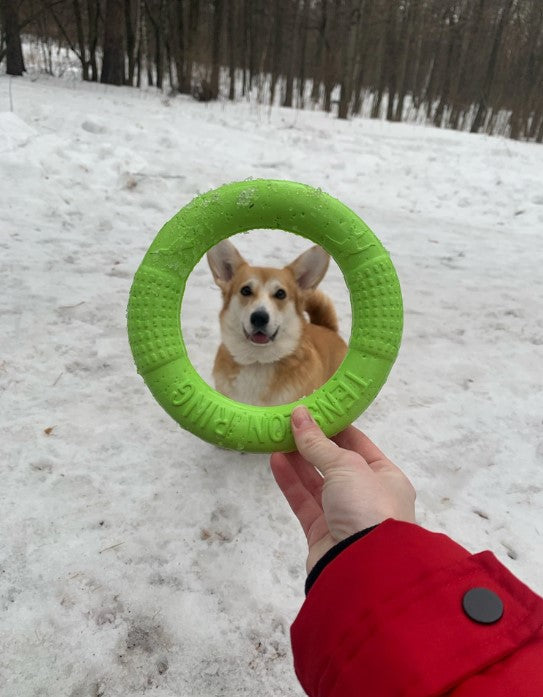 Pet Dog Flying Disc Training Ring Puller Playing Products Supply Toy
