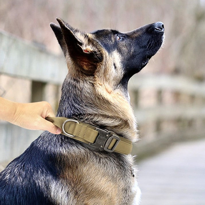 Durable Tactical Collar Leash Adjustable Nylon Train Medium Large Dog