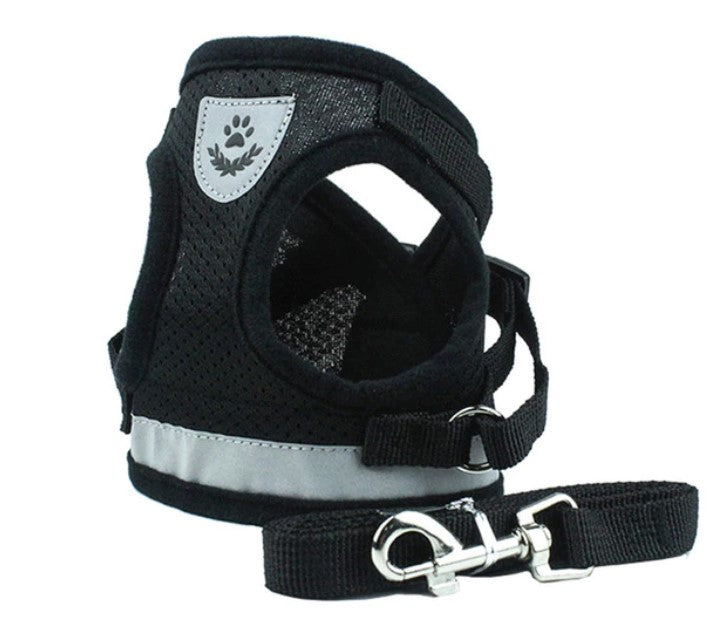 Breathable Harness and Leash Set for Small Medium Cat Dog Pet Supplies