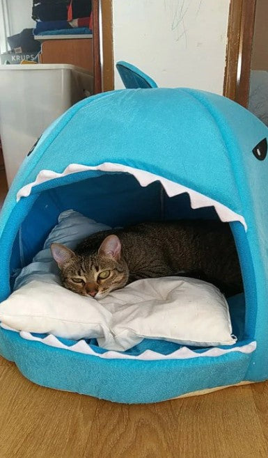 Cozy Cave Shark Shape Comfortable House Bed Small Medium Cat Dog Pet