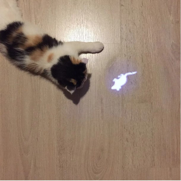 Funny & Fun LED Pointer light Pen With Bright Animation Mouse Cat Dog