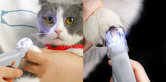 Professional Nail Clipper Dog Cat LED Light Nail Trimmer Scissors Pet