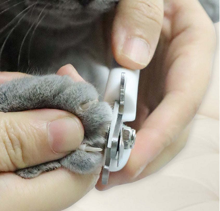 Professional Nail Clipper Dog Cat Stainless Convenient Cleaning Supply